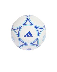 Pelota Adidas AFA Club 2024