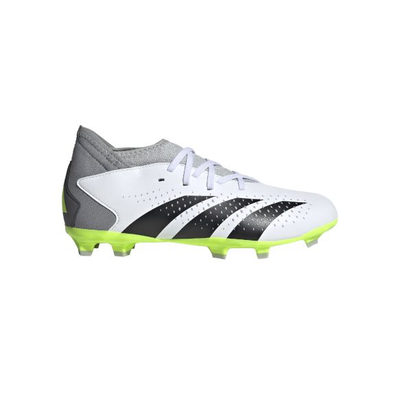 Botines Adidas Predator Accuracy.3 FG Jr