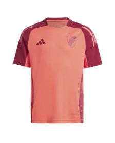 Camiseta Adidas River Plate Training 2024/2025