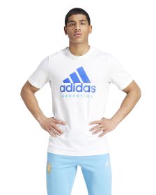 Remera Adidas AFA DNA Graphic 2024